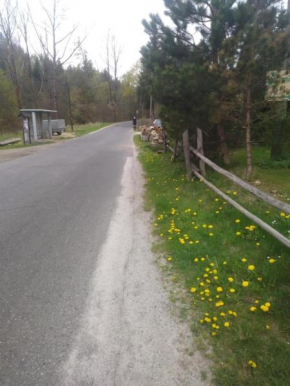 Agroturystyka Boguska